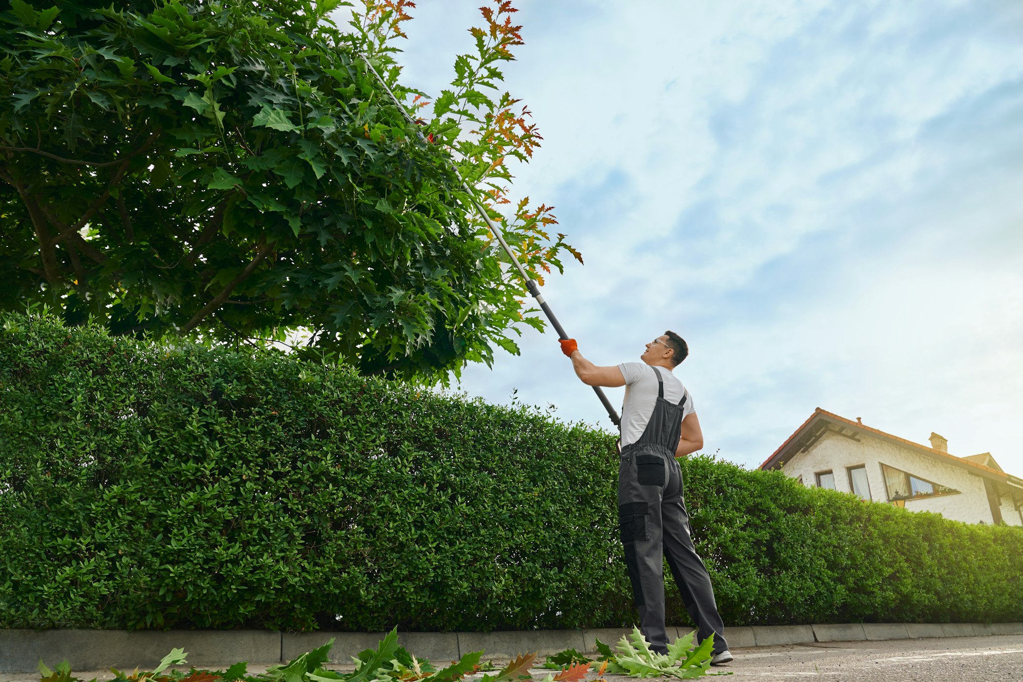 Gardener using petrol trimming machine for cutting trees