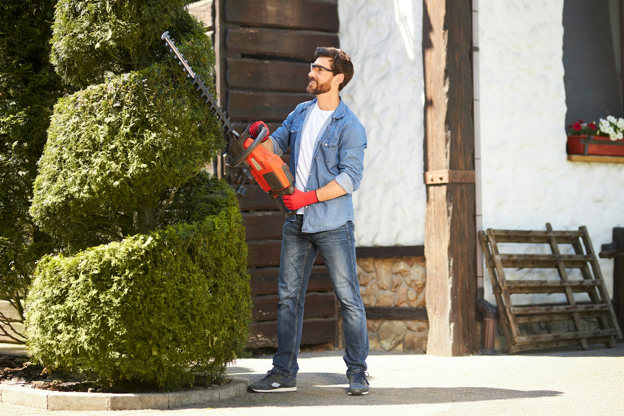 Inspired strong male landscaper topiaring, creating by trimming tree with hedge trimmer in park.